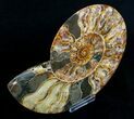 Inch Ammonite (Half) - Agate Preservation #4365-2